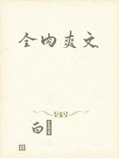 全肉爽文