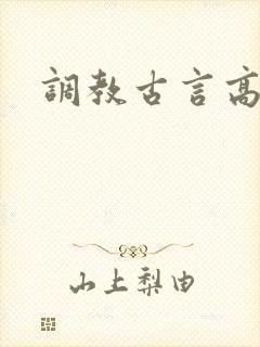 调教古言高h