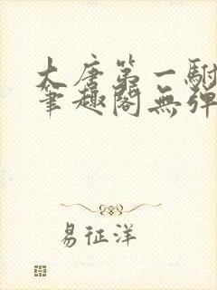 大唐第一驸马爷笔趣阁无弹窗封面