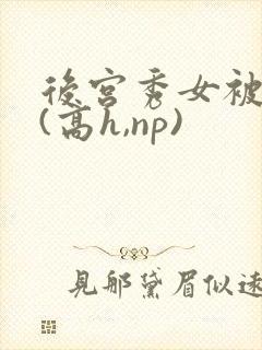 后宫秀女被调教(高h,np)