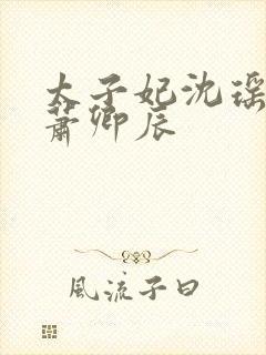 太子妃沈瑶太子萧卿辰