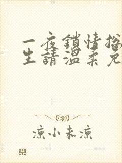 一夜锁情总裁先生请温柔免费阅读全文封面