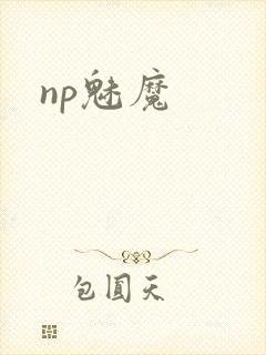 np魅魔