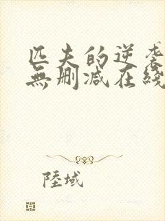 匹夫的逆袭小说无删减在线阅读