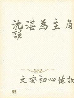 沈湛为主角的小说封面