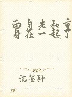 白月光和重生替身在一起了小说封面