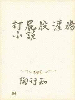 打屁股灌肠憋尿小说封面