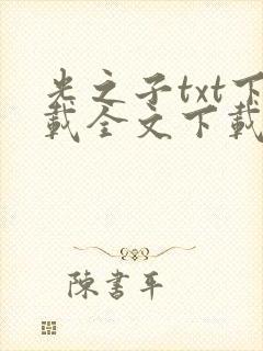 光之子txt下载全文下载