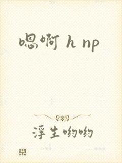 嗯啊 h np