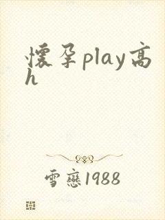 怀孕play高h封面