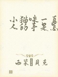 小猫咪一直舔主人的手是怎么了