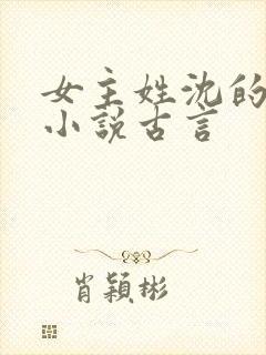 女主姓沈的重生小说古言