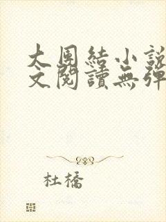 大团结小说集全文阅读无弹窗