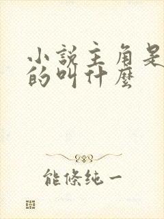 小说主角是陈也的叫什么