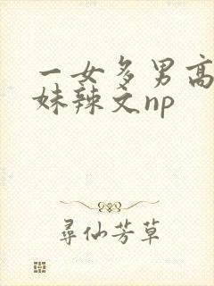 一女多男高h兄妹辣文np