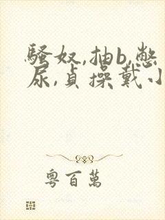 骚奴,抽b,憋尿,贞操戴小说女