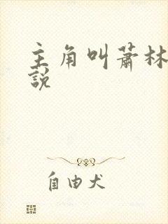 主角叫萧林的小说