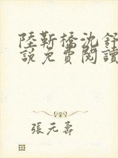 陆靳桥沈舒宁小说免费阅读最新章节封面