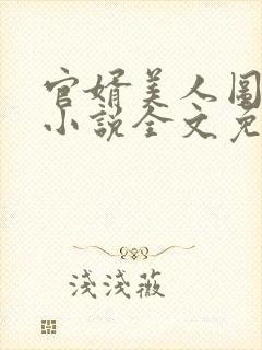 官婿美人图安江小说全文免费阅读