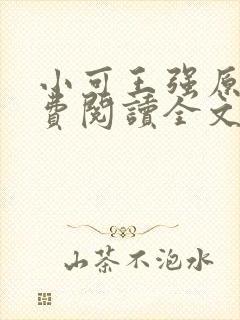 小可王强原文免费阅读全文最新章节