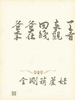 爸爸回来了第一季在线观看完整版免费封面