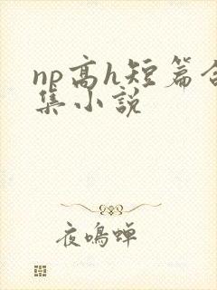 np高h短篇合集小说
