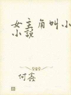 女主角叫小可的小说