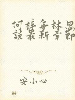 何梓年林思妤小说最新章节更新内容