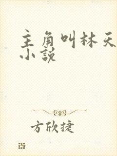 主角叫林天全部小说