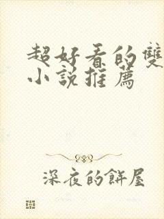 超好看的双男主小说推荐