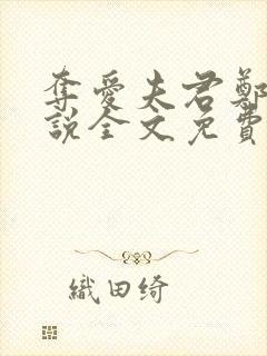 夺爱夫君郑媛小说全文免费阅读