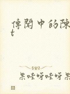 传闻中的陈芊芊t封面