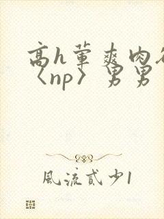 高h荤爽肉欲文〈np〉男男