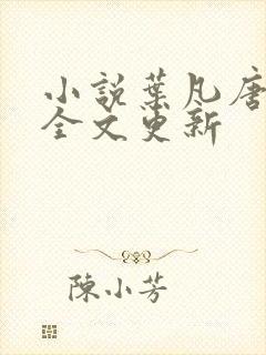 小说叶凡唐若雪全文更新封面