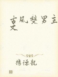 古风双男主高干文