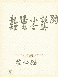 龙腾小说阅读网短篇合集