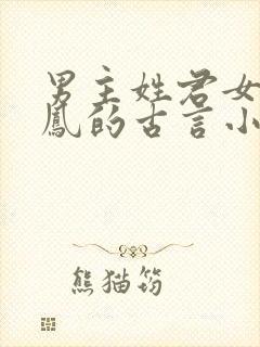 男主姓君女主姓凤的古言小说