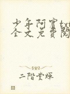 少年阿宾txt全文免费阅读小说