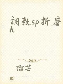 调教sp折磨高h