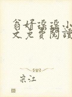 翁婿瑶瑶小说全文免费阅读最新章节封面