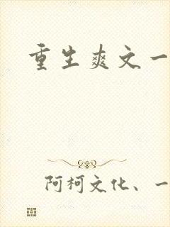 重生爽文一口气