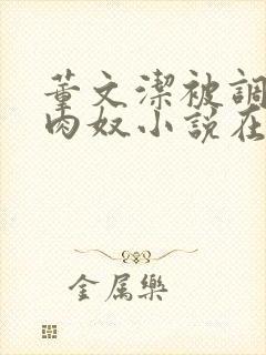 董文洁被调教成肉奴小说在线阅读