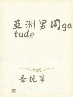 亚洲男同gay tude