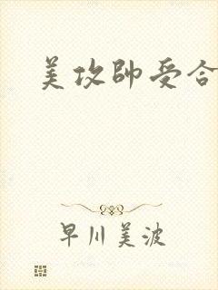 美攻帅受合集