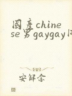 国产chinese男gaygay网站