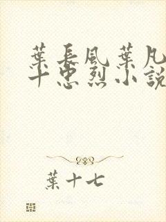 叶长风叶凡一门十忠烈小说名字