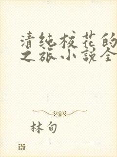 清纯校花的堕落之旅小说全文免费阅