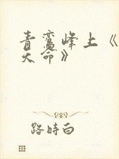 青鸾峰上《无敌天命》