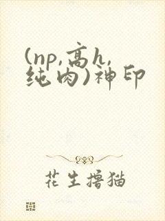 (np,高h,纯肉)神印