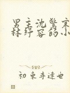 男主沈惊寒女主林纾容的小说封面